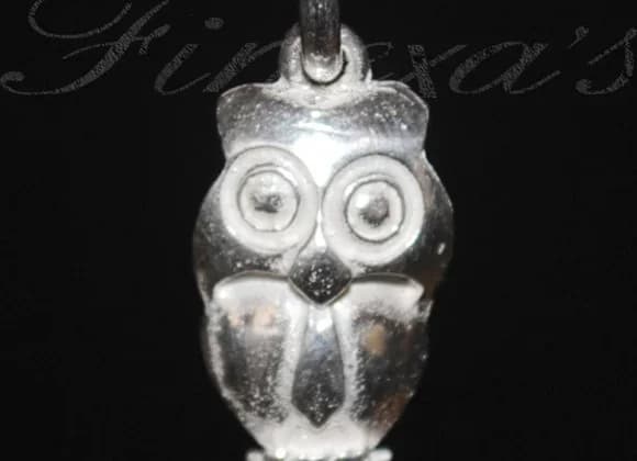 Dije de un “Buho” Plata 950 2